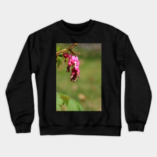 Bleeding hearts Crewneck Sweatshirt